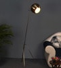 Brass Iron Shade Tripod Floor Lamp With Iron Base