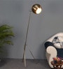 Brass Iron Shade Tripod Floor Lamp With Iron Base