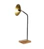 Sloping Brass Study Lamp With Wood & Iron Base