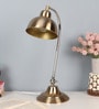 Charles Brass Study Lamp With Iron Base