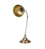 Charles Brass Study Lamp With Iron Base