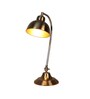 Charles Brass Study Lamp With Iron Base