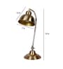 Charles Brass Study Lamp With Iron Base