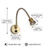 Brass LED Wall Reading Light with Flexible Gooseneck Arm