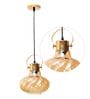 Logan Brass Metal and Glass Hanging Light