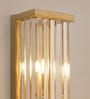 Brass Metal Novelty Wall Light (Brown)