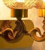 Brass Plantation Dual Light Glass & Metal Wall Light