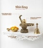 Golden Brass Shivling with Naga Snake Idol Perfect