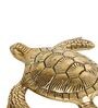 Brass Tortoise For Good Luck Showpiece
