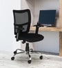 Bravo Low Back Ergonomic Chair in Black