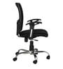 Bravo Low Back Ergonomic Chair in Black