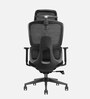 Bravo Breathable Mesh Ergonomic Chair In Black Colour