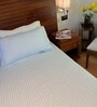Breeze 100% Cotton Striped Print Double Bedsheet With 2 Pillow Covers Spring Summer 2025 Collection Breeze 100% Cotton Striped Print Double Bedsheet With 2 Pillow Covers Spring Summer 2025 Collection