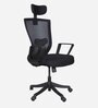 Breeze Breathable Mesh Ergonomic Chair in Black Colour with Headrest