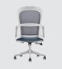 Breeze Breathable Mesh Ergonic Chair in Grey Colour