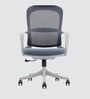 Breeze Breathable Mesh Ergonic Chair in Grey Colour
