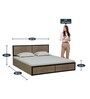Brighton Queen Size Bed with Storage in Teak Finish