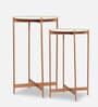 Bristol Metal Nest of Tables in Gold Finish (Set Of 2)