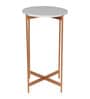 Bristol Metal Nest of Tables in Gold Finish (Set Of 2)
