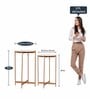 Bristol Metal Nest of Tables in Gold Finish (Set Of 2)