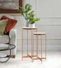 Bristol Metal Nest of Tables in Gold Finish (Set Of 2)
