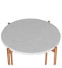 Bristol Metal Nest of Tables in Gold Finish (Set Of 2)