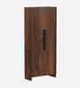 Brooklyn 2 Door Shoe Cabinet In Brown Maple Finish