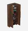 Brooklyn 2 Door Shoe Cabinet In Brown Maple Finish