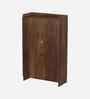 Brooklyn 2 Door Tall Shoe Cabinet In Brown Maple Finish