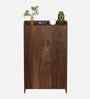 Brooklyn 2 Door Tall Shoe Cabinet In Brown Maple Finish