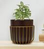 Brown & Gold Metal Floor Planter