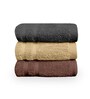 Brown & Grey & Beige Cotton Solid 550 GSM 3 Pcs Hand Towels
