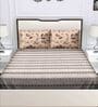 Brown Traditional 180 TC Cotton Queen Sized Bed Sheets with 2 Pillow Covers