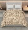 Brown 100% COTTON Solid 105 GSM King Bed Comforter