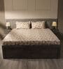 Brown 144TC Cotton Flat Super King Bedsheet with 2 Pillow Covers