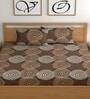 Brown 180 TC Floral Cotton Fitted Double Bedsheet 2 Pillow covers