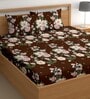 Brown 180 TC Floral Cotton Queen Double Bedsheet 2 Pillow covers