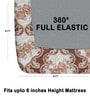 Brown 180 TC Floral Cotton Fitted Double Bedsheet 2 Pillow covers