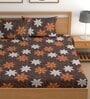 Brown 180 TC Floral Cotton Fitted Double Bedsheet 2 Pillow covers