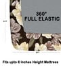 Brown 180 TC Floral Cotton Fitted Double Bedsheet 2 Pillow covers