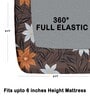 Brown 180 TC Floral Cotton Fitted Double Bedsheet 2 Pillow covers
