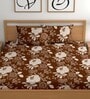 Brown 180 TC Floral Cotton Queen Double Bedsheet 2 Pillow covers