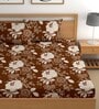 Brown 180 TC Floral Cotton Fitted Double Bedsheet 2 Pillow covers