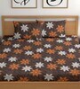Brown 180 TC Floral Cotton Fitted Double Bedsheet 2 Pillow covers