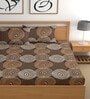Brown 180 TC Floral Cotton Fitted Double Bedsheet 2 Pillow covers