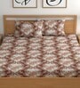 Brown 180 TC Floral Cotton Queen Double Bedsheet 2 Pillow covers