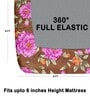 Brown 180 TC Floral Cotton Fitted Double Bedsheet 2 Pillow covers