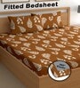 Brown 180 TC Floral Cotton Fitted Double Bedsheet 2 Pillow covers
