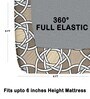 Brown 200 TC Abstract Cotton Fitted Double Bedsheet 2 Pillow covers