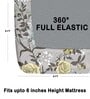 Brown 200 TC Floral Cotton Fitted Double Bedsheet 2 Pillow covers